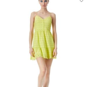 Alice +Olivia Lime Green Eyelet Sundress